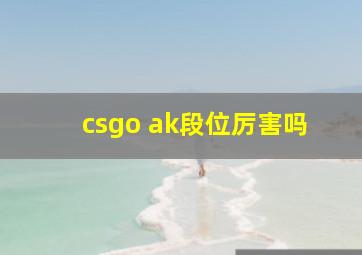 csgo ak段位厉害吗